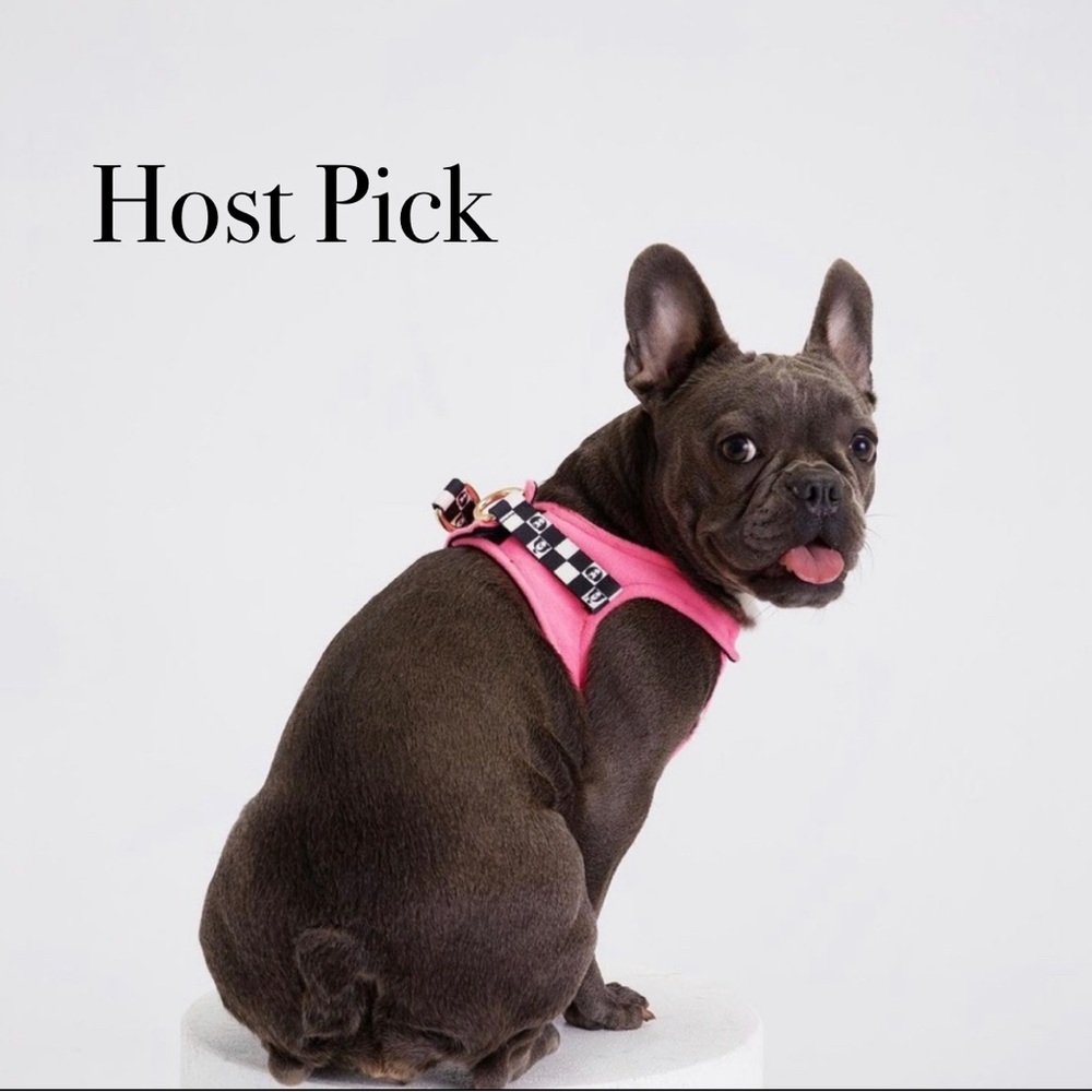 MOSHIQA Pink Padded Dog Cat Pet Harness Soft Buckle Checkers Frenchie Chihuahua
